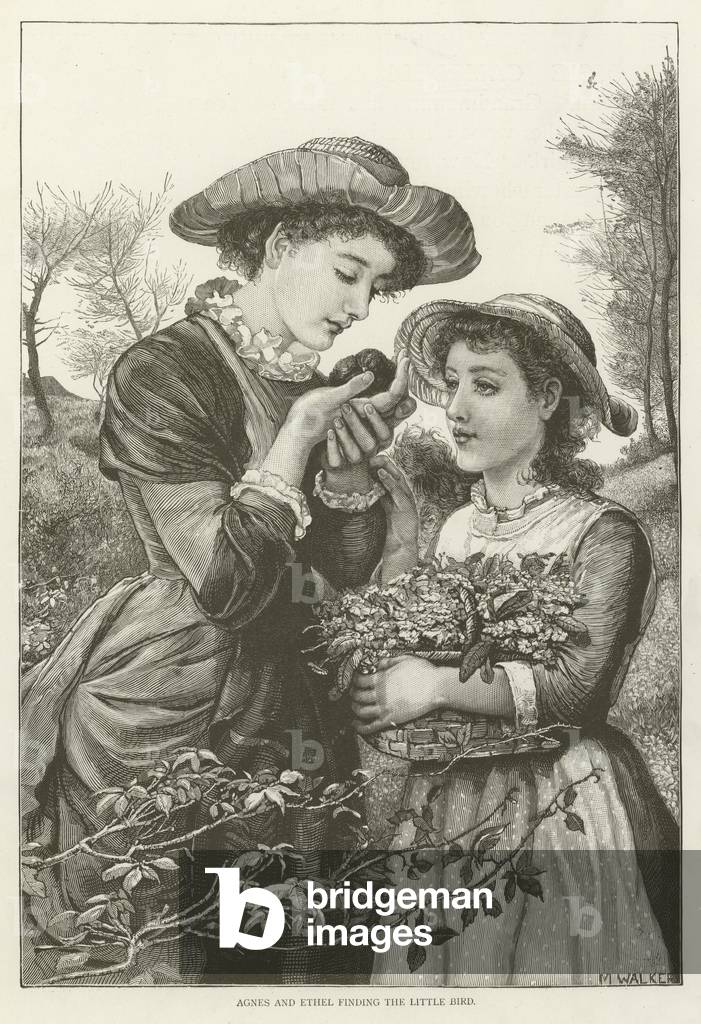 Agnes and Ethel finding the little bird (engraving)
