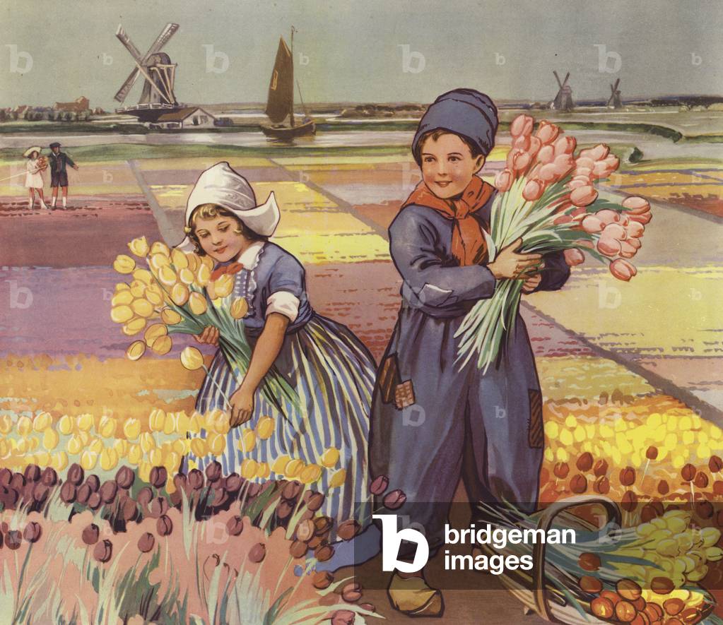 Children picking tulips in Holland (colour litho)