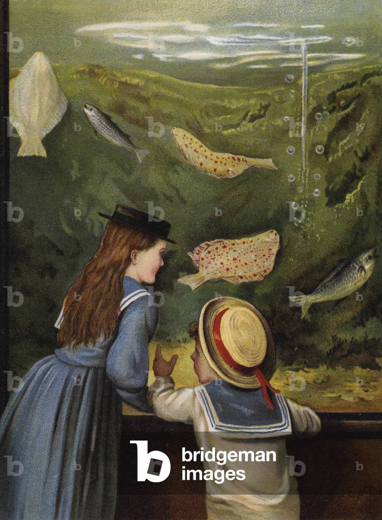 A visit to the aquarium (chromolitho)