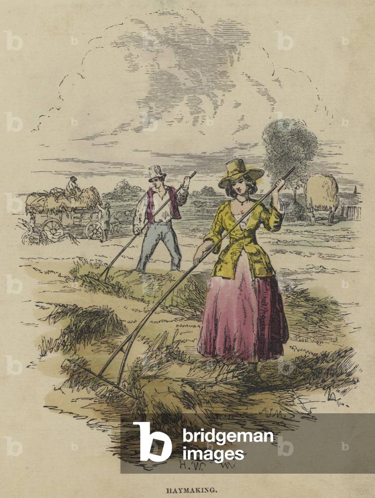 Haymaking (coloured engraving)