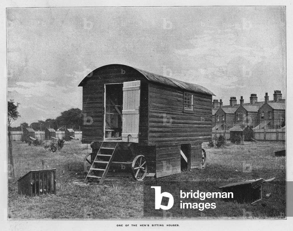 Whiteley's Farms: One of the hen's sitting houses (b/w photo)