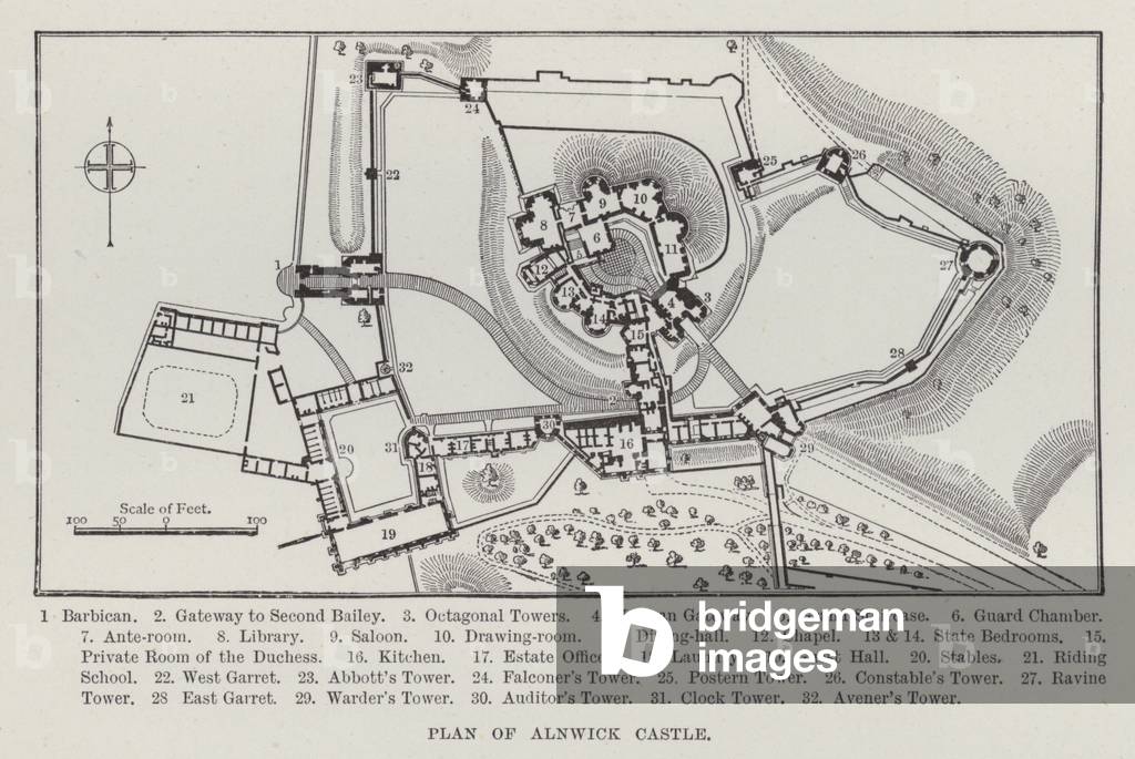 Plan of Alnwick Castle (litho)