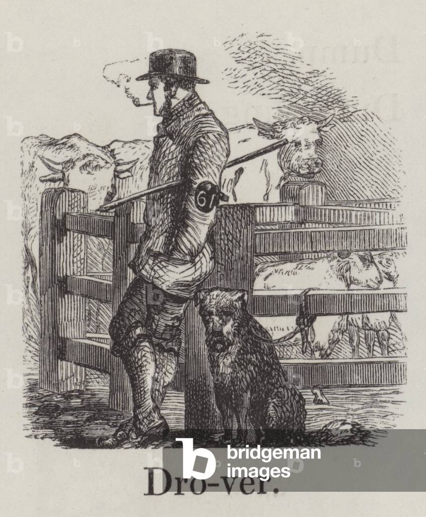 Drover (engraving)