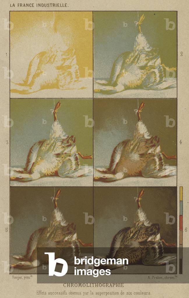 Chromolithographie, Effets successifs obtenus par la superposition de six couleurs (colour litho)