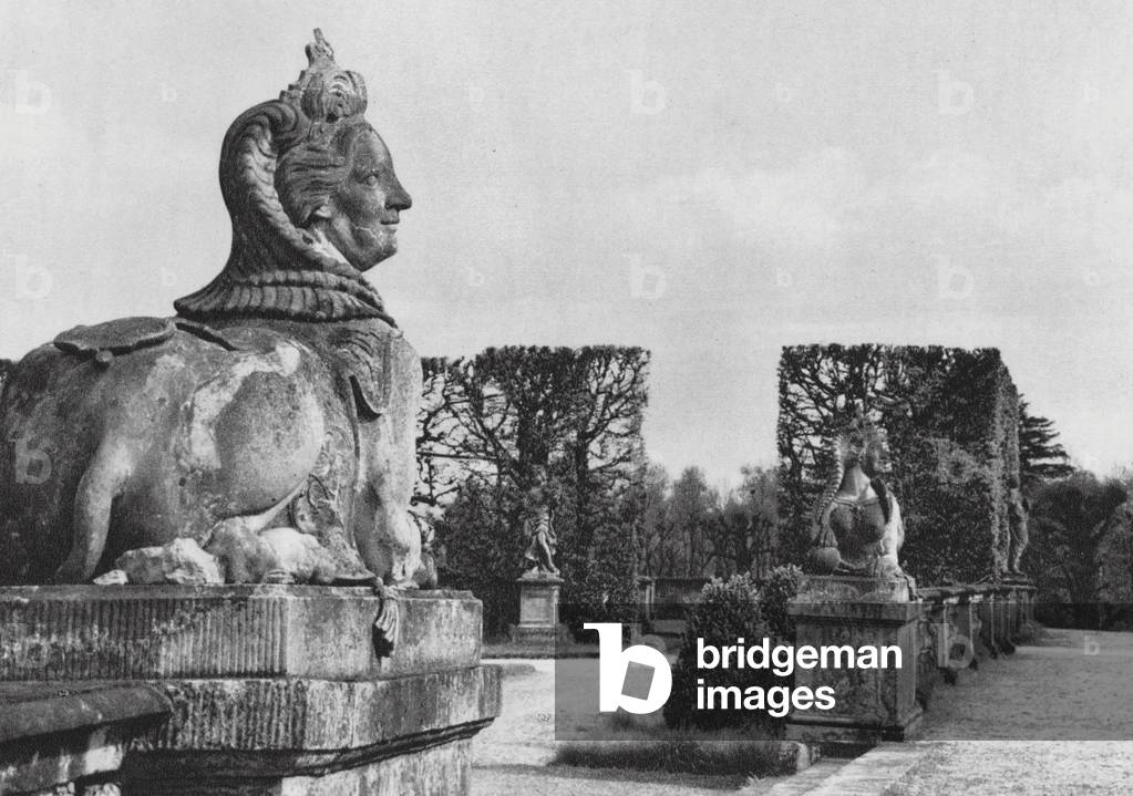 Dresden: Gross-Sedlitz (b/w photo)