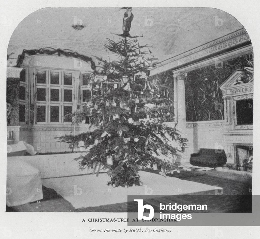 A Christmas tree at Sandringham House (b/w photo)