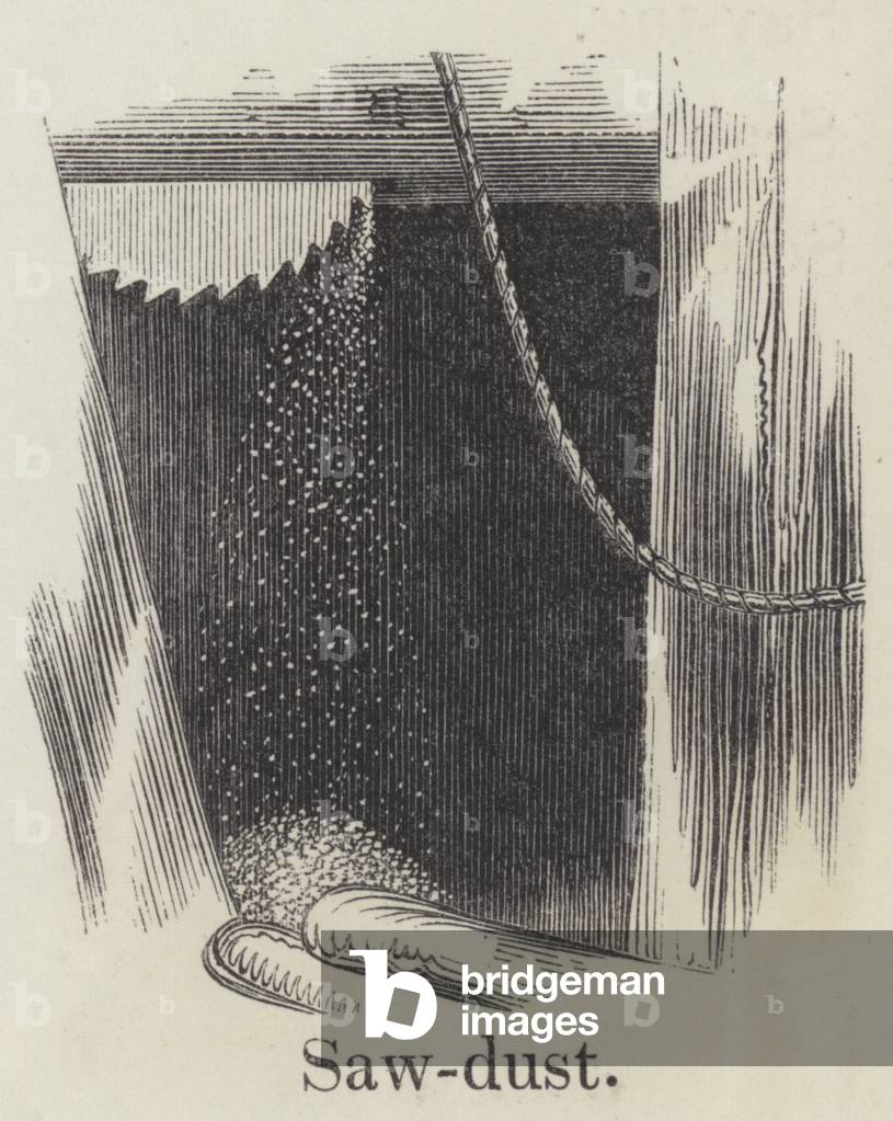 Sawdust (engraving)