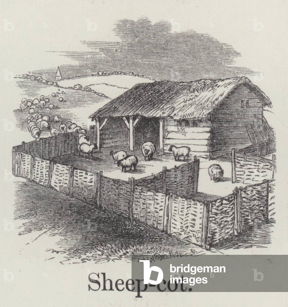 Sheepcot (engraving)