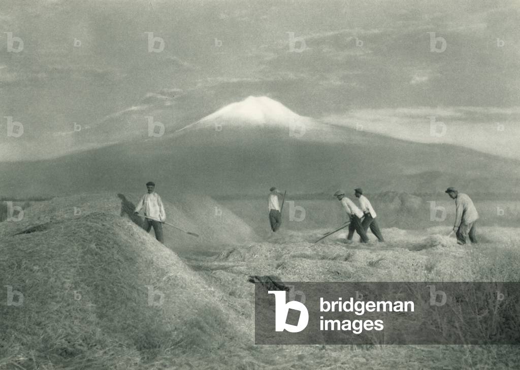 Turkey: Agrinin eteginde harman, Harvest on the foot of the Ararat (b/w photo)