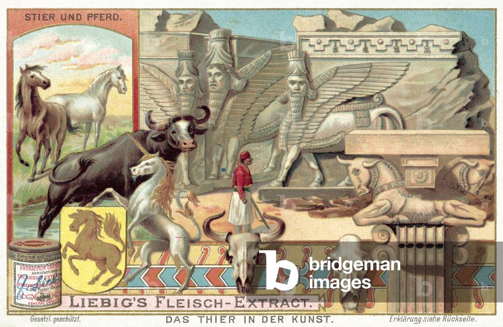 Bulls and horses (chromolitho)