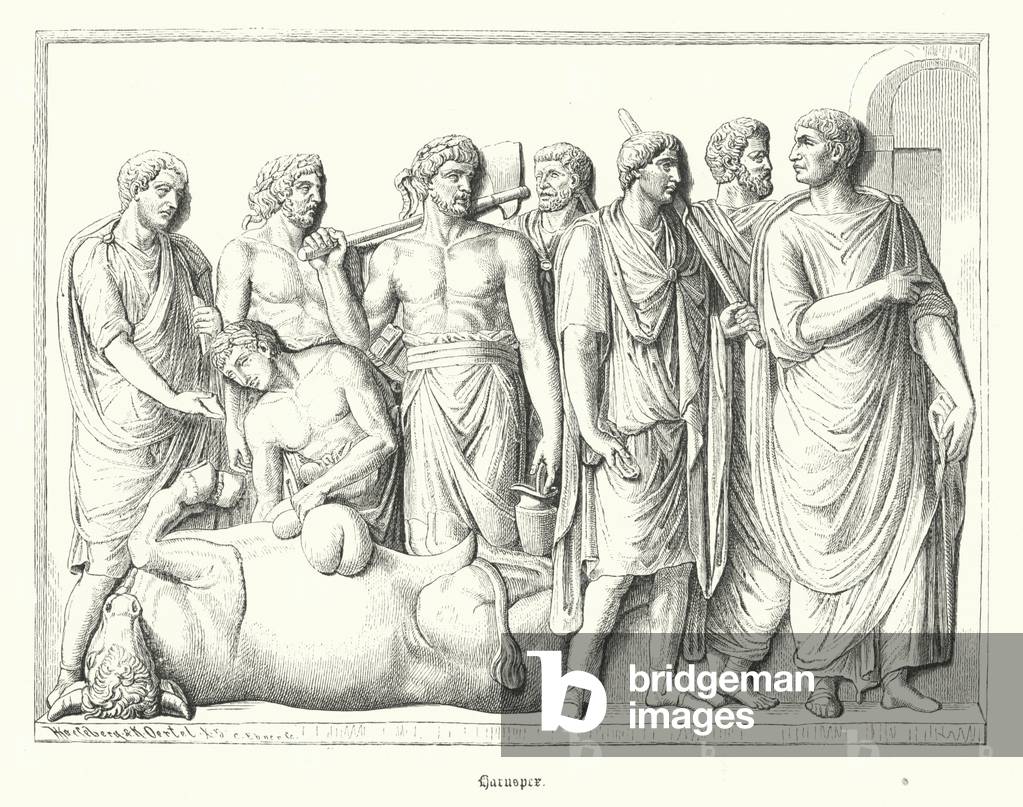 Haruspex studying the entrails of a animal sacrificed in ancient Rome (engraving)