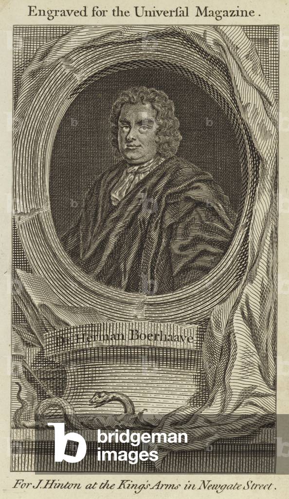 Dr Herman Boerhaave (engraving)