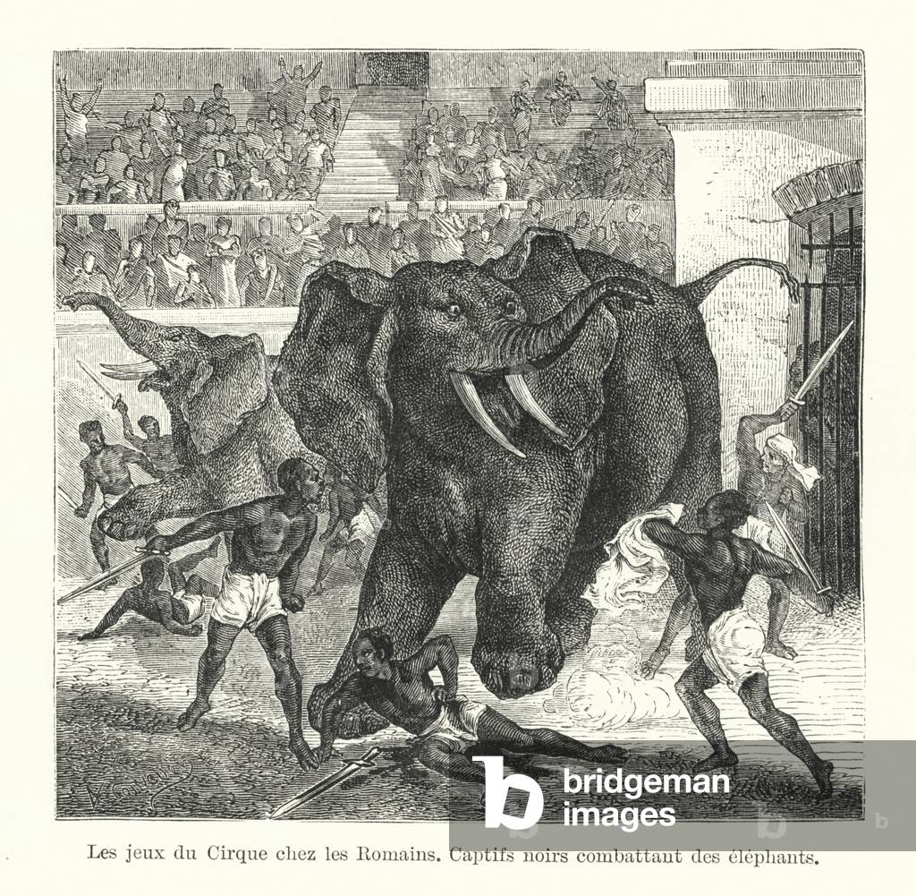 Les jeux du Cirque chez les Romains (engraving)