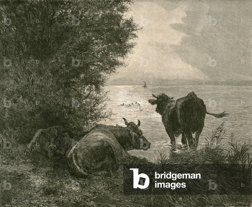 Early Morning on the Lake of Zurich (engraving)