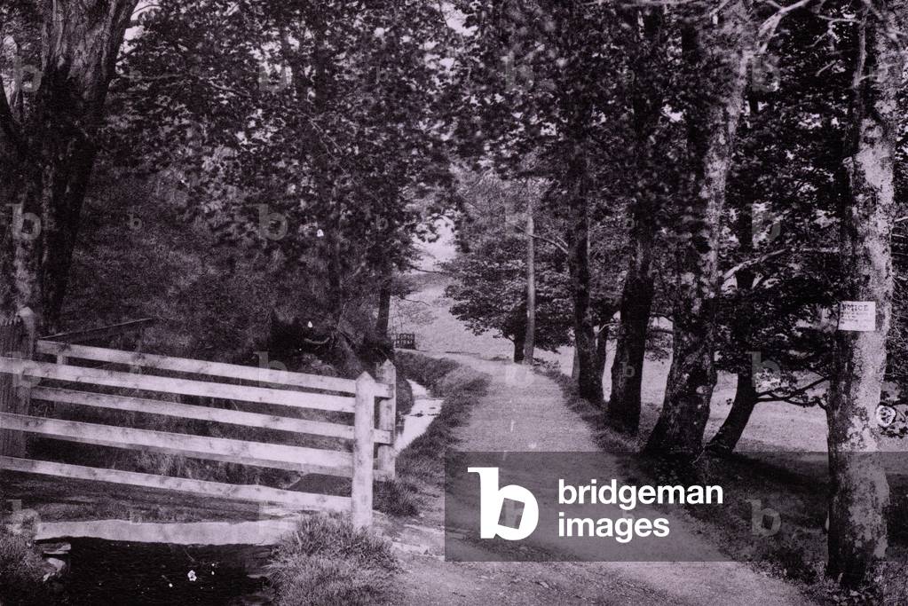 Lovers' Walk (b/w photo)