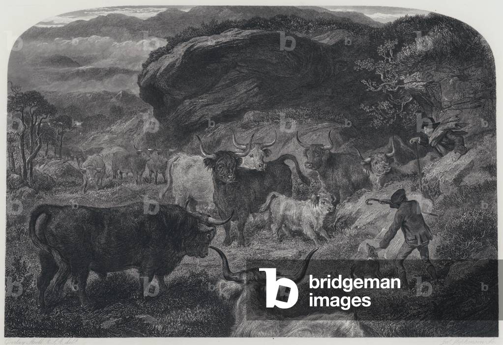 Illustration for Rob Roy (engraving)
