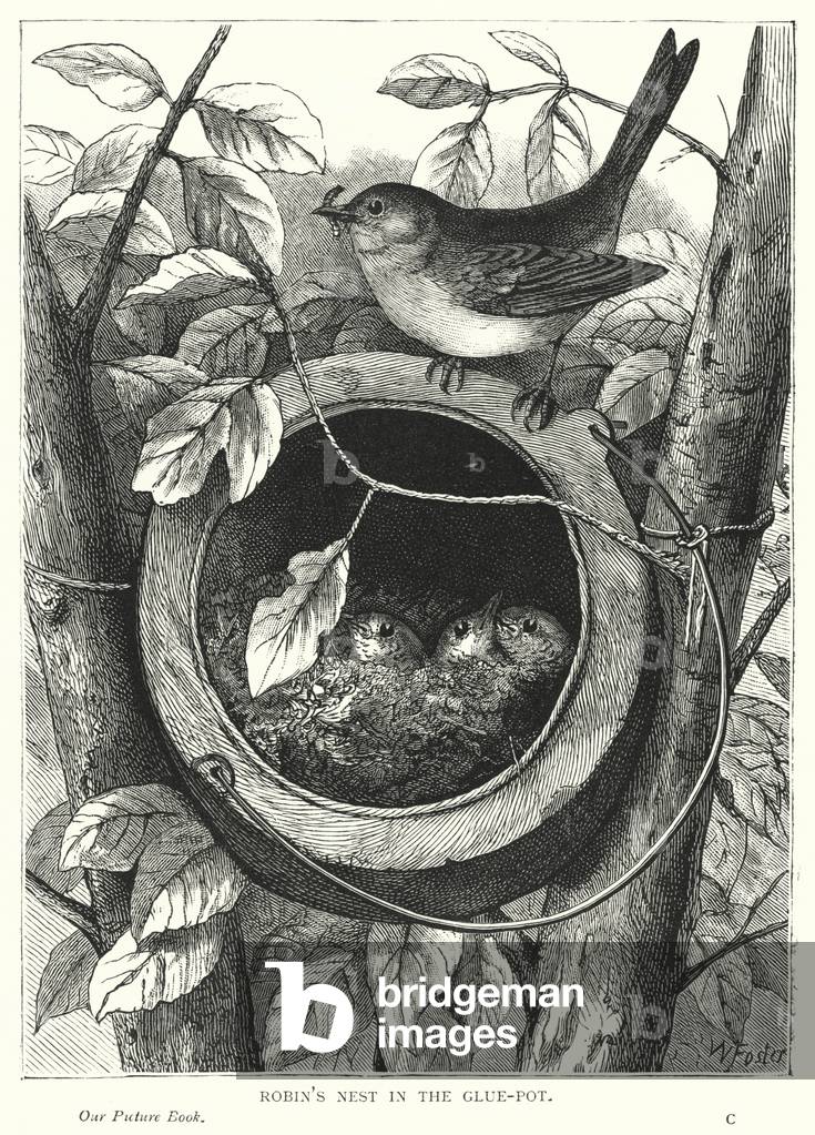 Robin's nest in the glue-pot (engraving)
