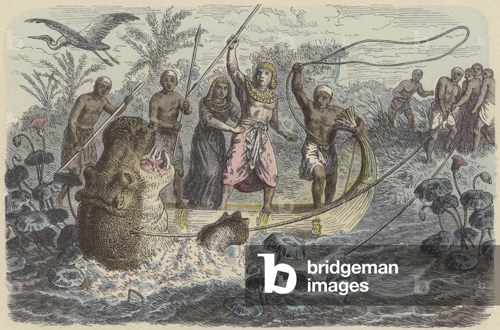 Ancient Egyptian pharaoh on a hippopotamus hunt (coloured engraving)