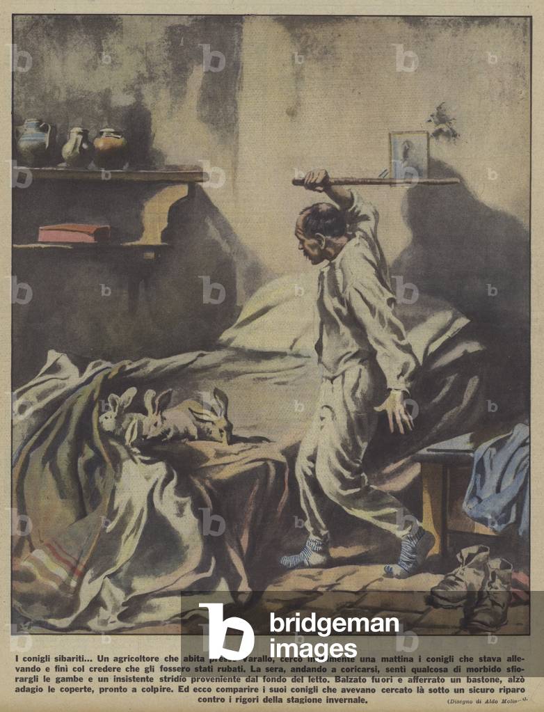 Rabbits in a farmer's bed in Varallo, Italy (colour litho)