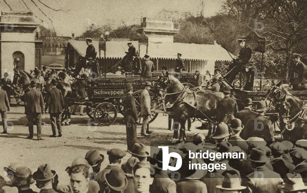 Annual cart horse parade in Regent's Park (b/w photo)
