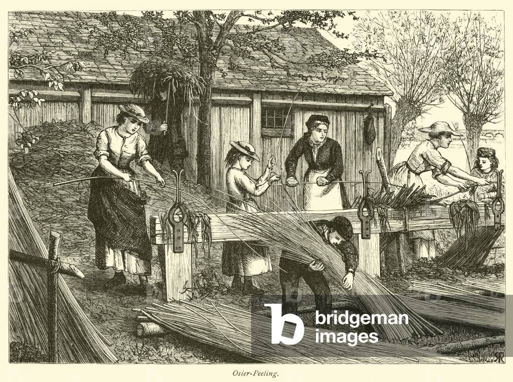 Osier-Peeling (engraving)