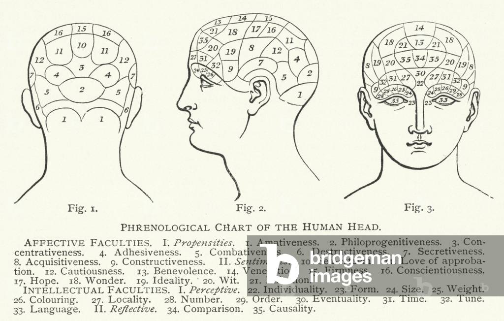 Phrenological Chart of the Human Head (engraving)