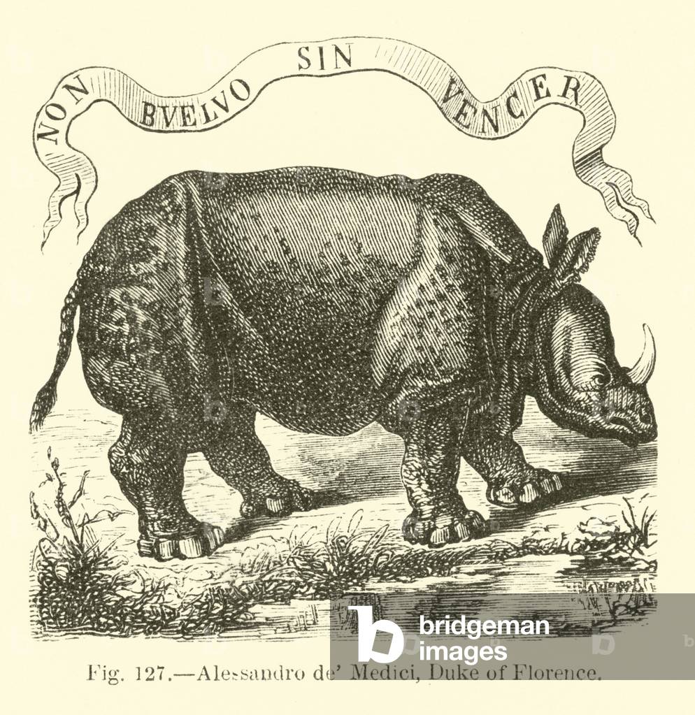 Alessandro de' Medici, Duke of Florence (engraving)
