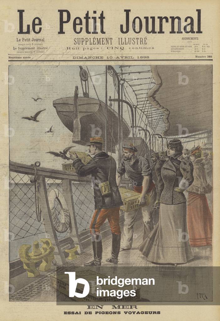 Trial of carrier pigeons at sea (colour litho)