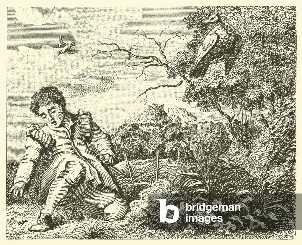 The dove and the ant (engraving)