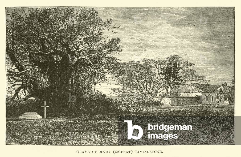Grave of Mary (Moffat) Livingstone (engraving)