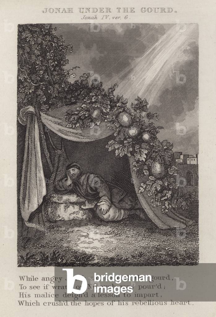 Jonah under the gourd, Jonah IV, ver 6 (engraving)