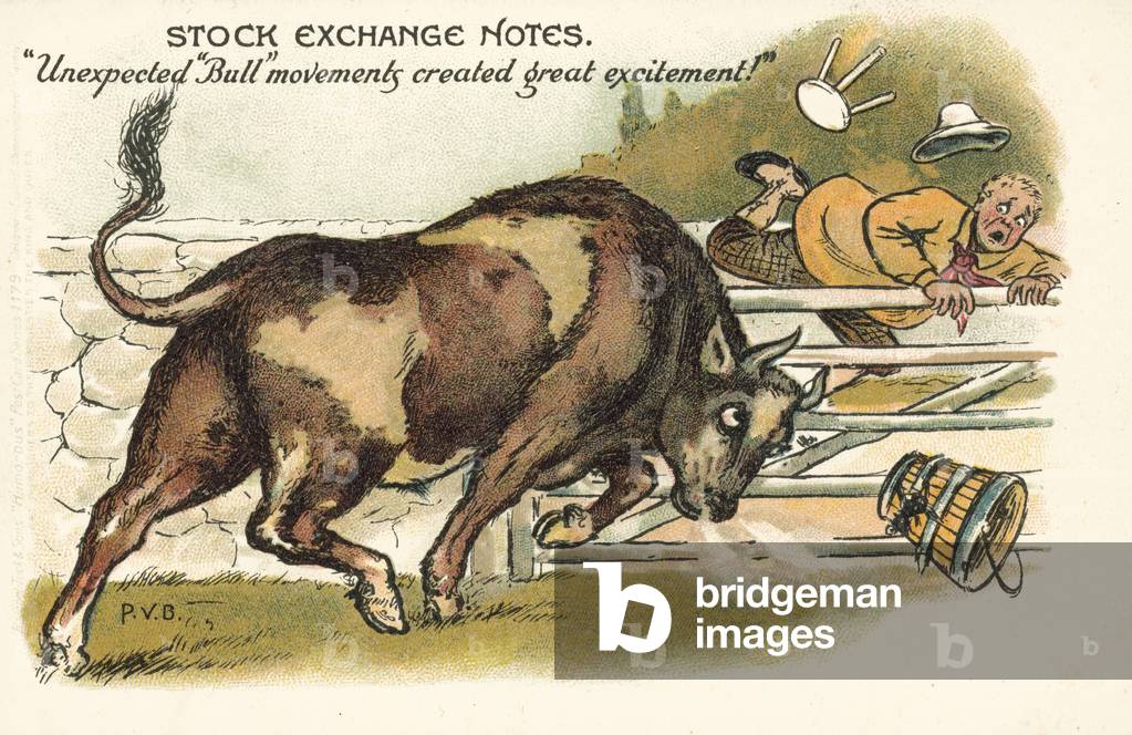 Unexpected bull movements created great excitement (colour litho)