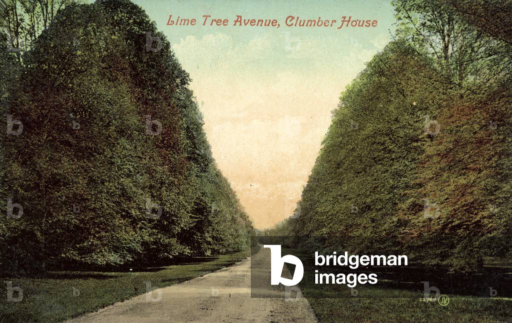 Lime Tree Avenue, Clumber House (colour photo)