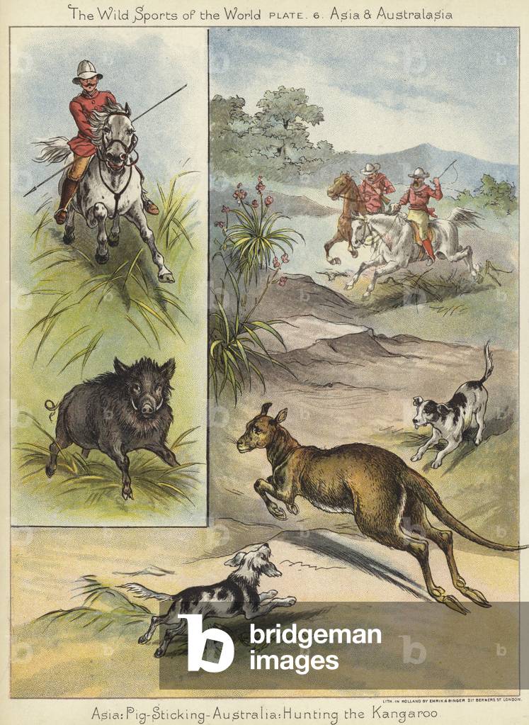 Pig Sticking and Hunting the Kangaroo (colour litho)