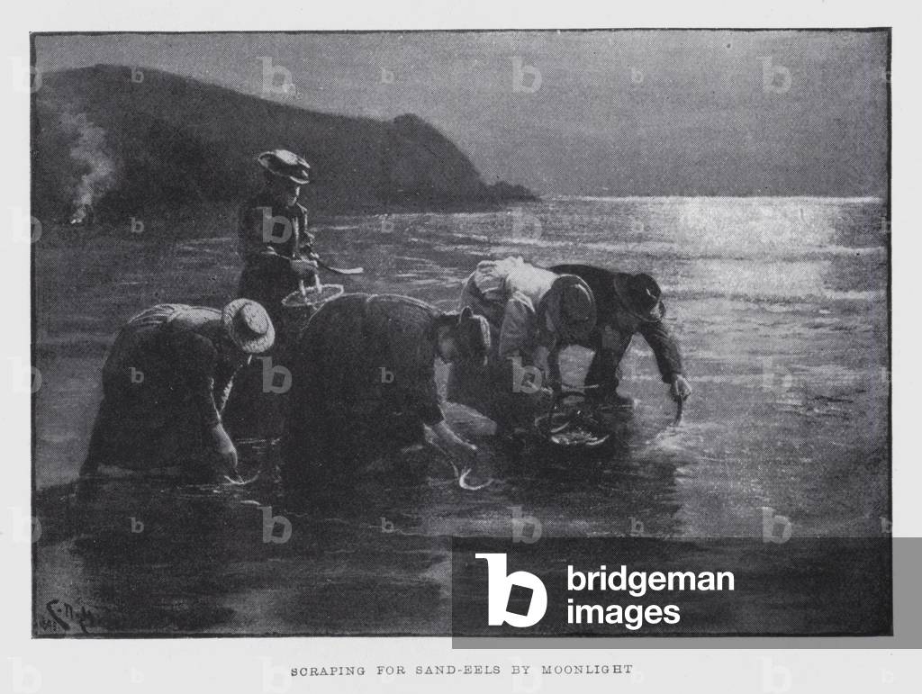 Scraping for sand-eels by moonlight (litho)