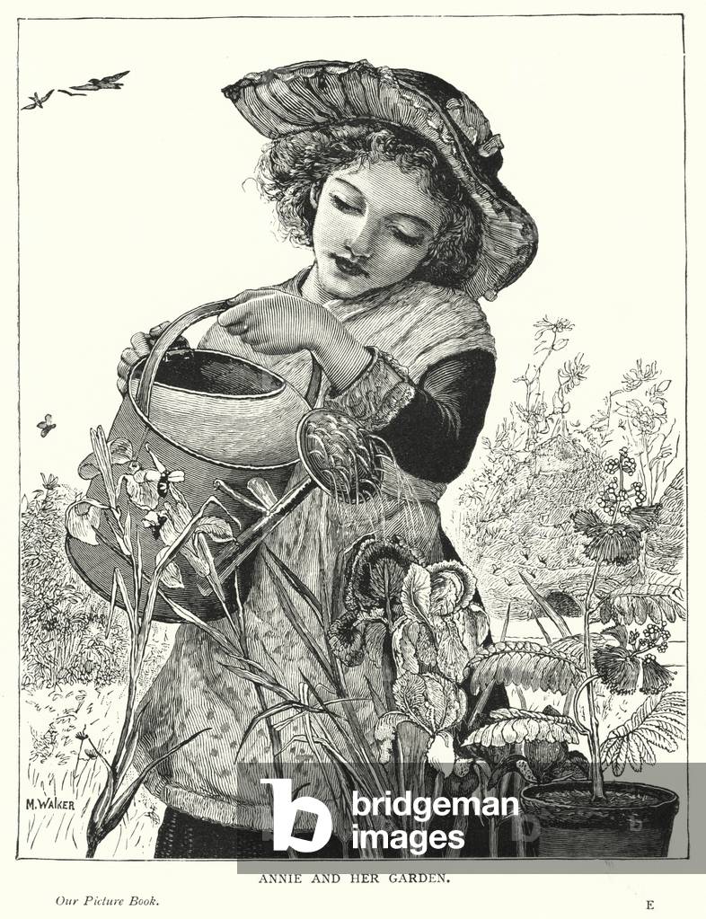 Annie and her garden (engraving)