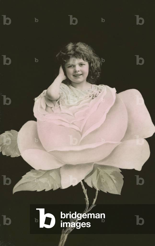 Girl in a rose (photo)