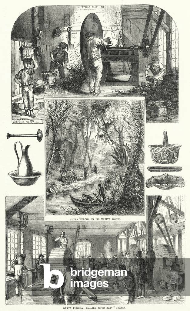 Gutta Percha (engraving)