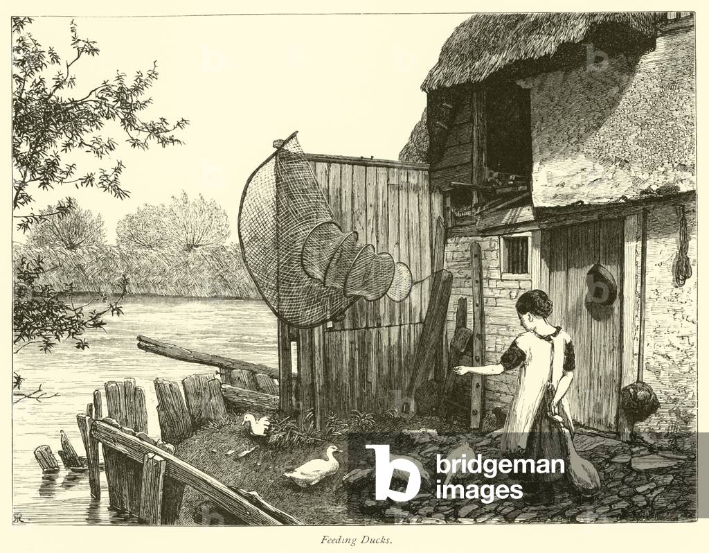 Feeding Ducks (engraving)