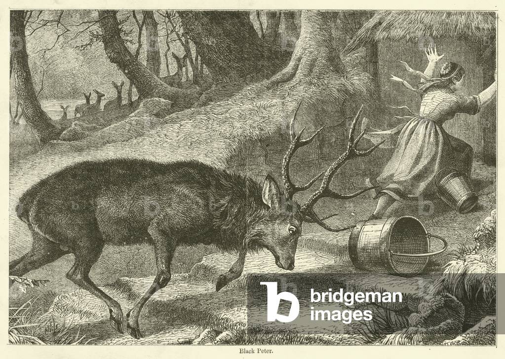 Black Peter (engraving)