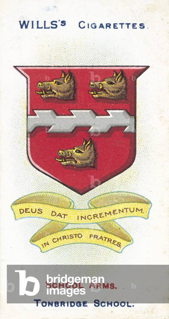Tonbridge School, Deus Dat Incrementum, In Christo Fratres, God Gives The Increase, Brethren In Christ (colour litho)