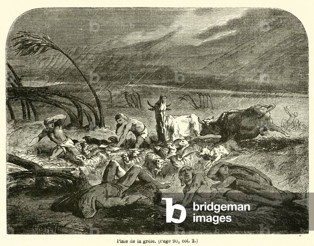 Plaie de la grele (engraving)