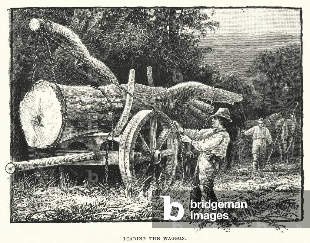 Loading the waggon (engraving)