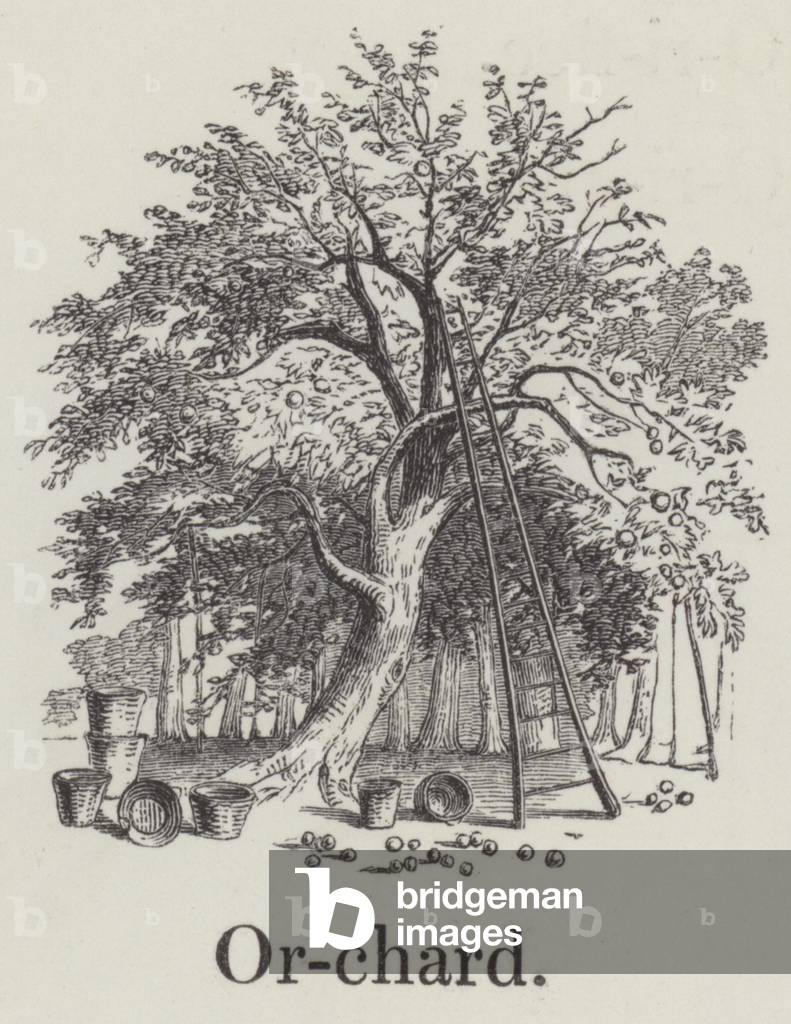 Orchard (engraving)