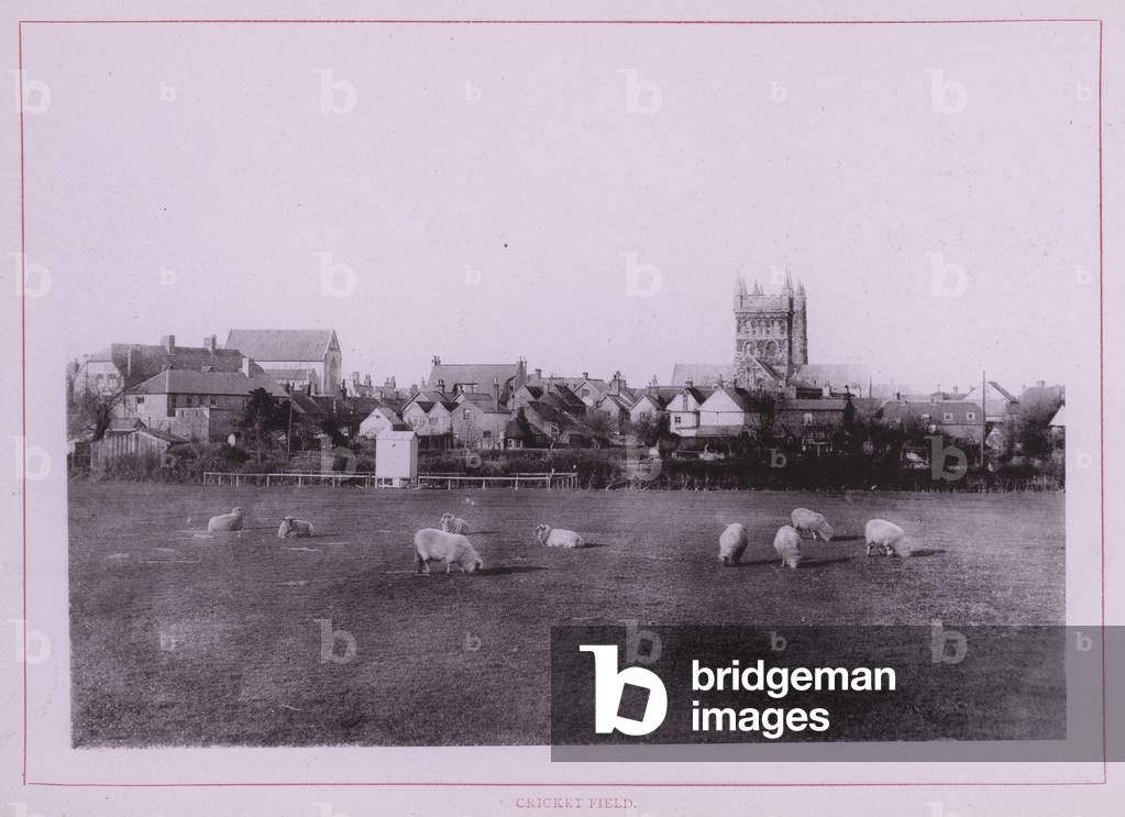 Cricket Field (b/w photo)