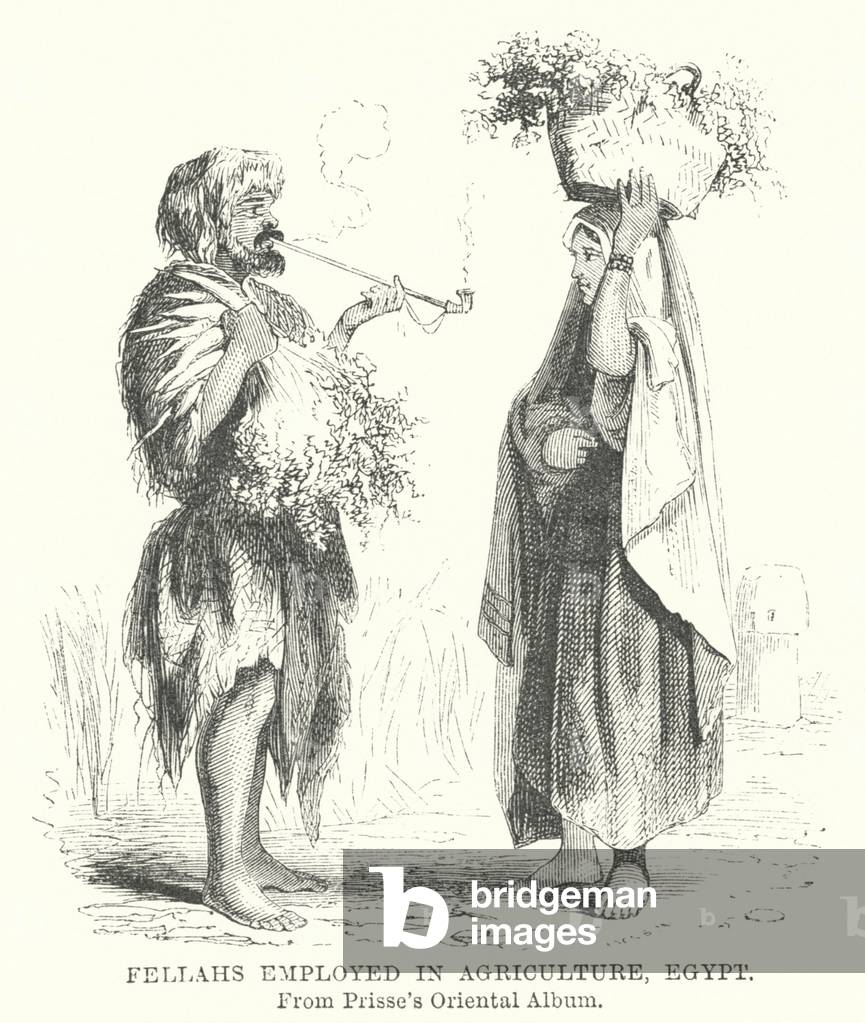 Fellahs employed in Agriculture, Egypt (engraving)