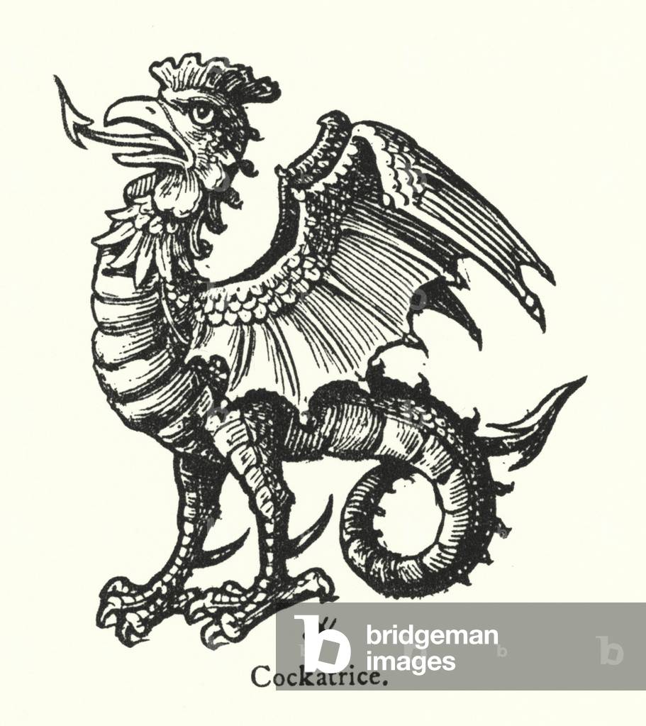 Cockatrice (engraving)