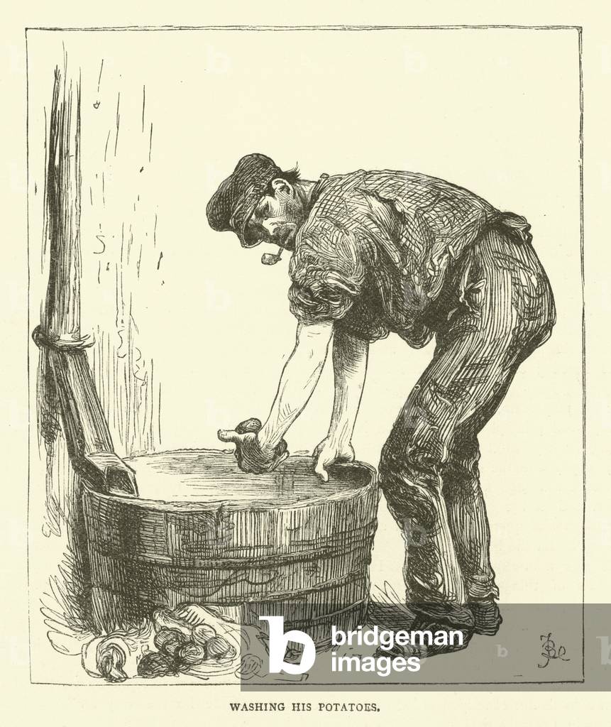 Washing his potatoes (engraving)