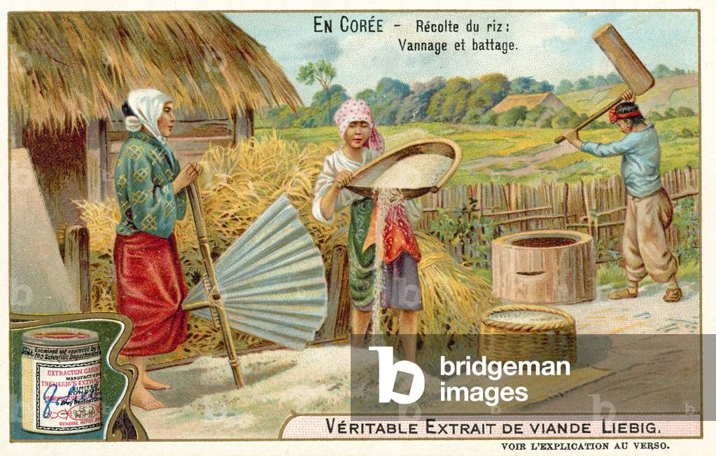 Winnowing and threshing harvested rice, Korea (chromolitho)