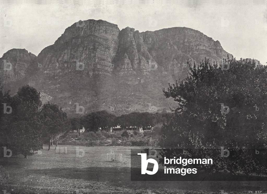 Fernwood, Newlands (b/w photo)